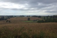 IMG_4544